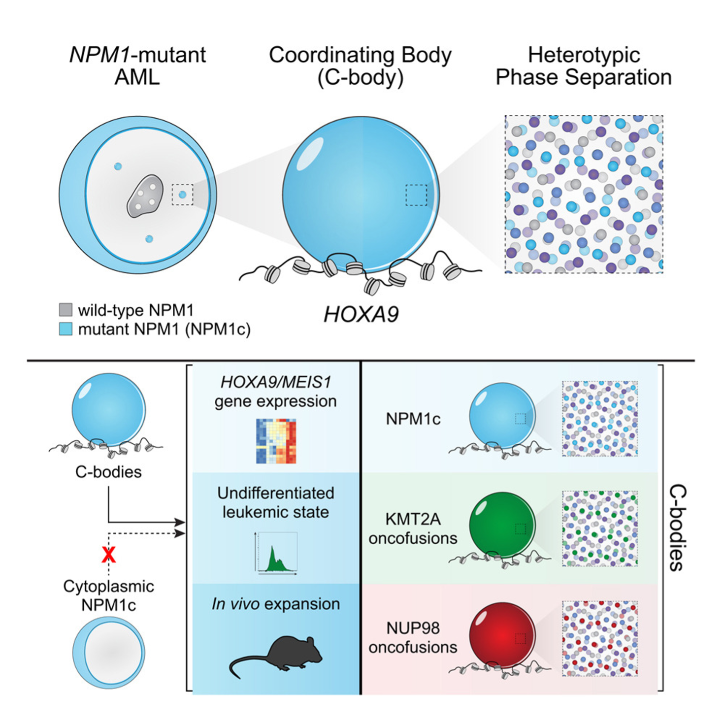 Figura1 news Sartor gen26